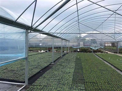Pel·lícula plàstica hortícola